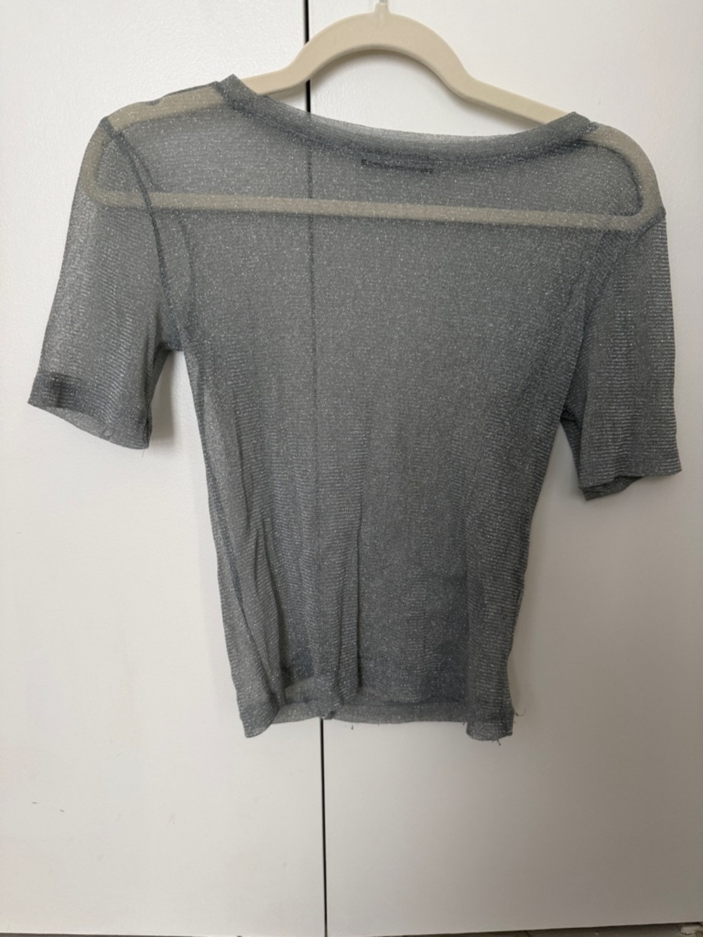 Zara Shimmer Sheer Short Sleeve Tee - Silver Gray